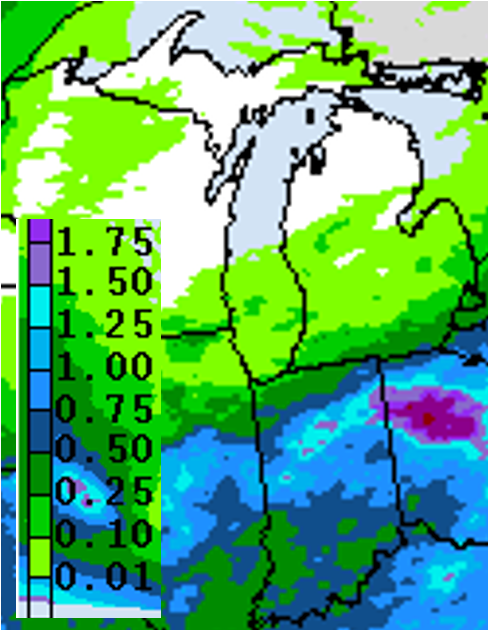 Precipitation forecast for Aug. 12-19.